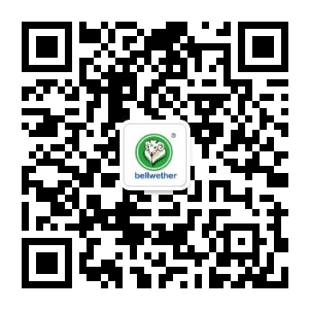熊猫体彩官网
微信公众号